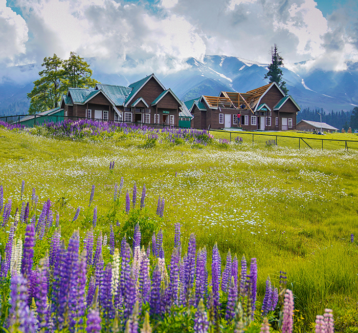Scenic Kashmir